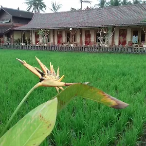 Rice Padi Artha Guest house